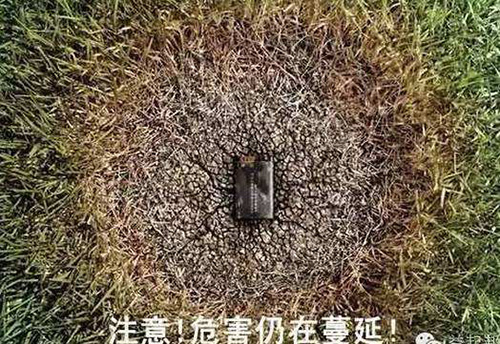 开云手机web版登录入口-开云(中国)
,娄底危险废物经营,环保技术开发及咨询推广,环境设施建设,危险废物运营管理